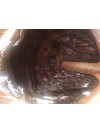 Peruka lace front złoty brąz LF008