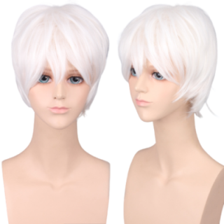 Krótka męska peruka biała białe włosy koronkowa PK018